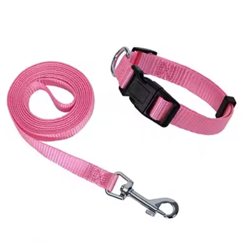 Pink dog collar and lead