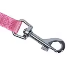 Pink dog collar and lead