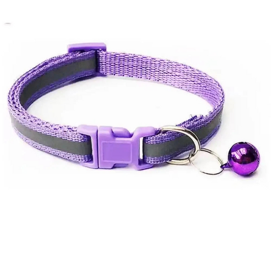 Dog collar with reflective strip