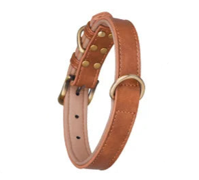 Tan leather dog collar