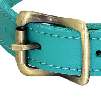 Waterproof leather dog collar