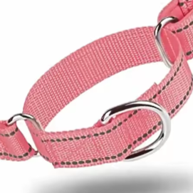 Martingale dog collar pink