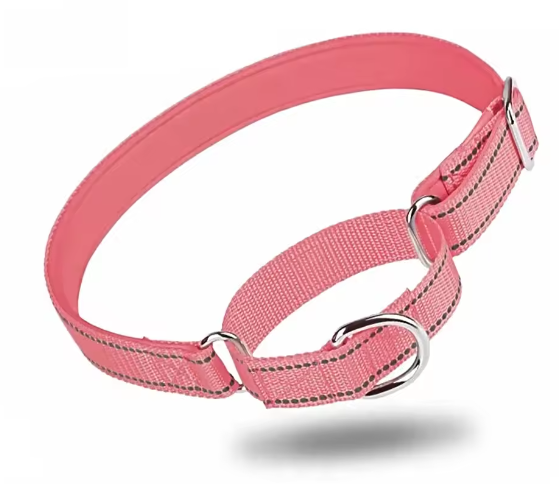 Martingale dog collar pink