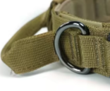 Tactical dog collar with velcro