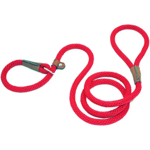 Climbing rope dog leash