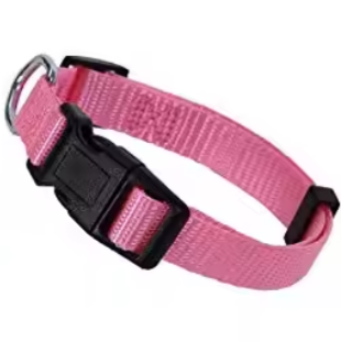 Pink dog collar and lead