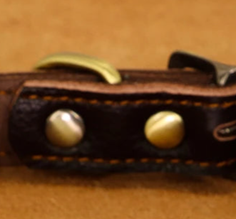 Leather dog collar medium