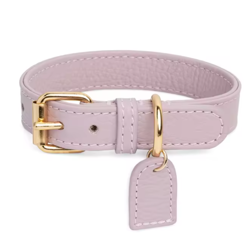 Lightweight puppy collar