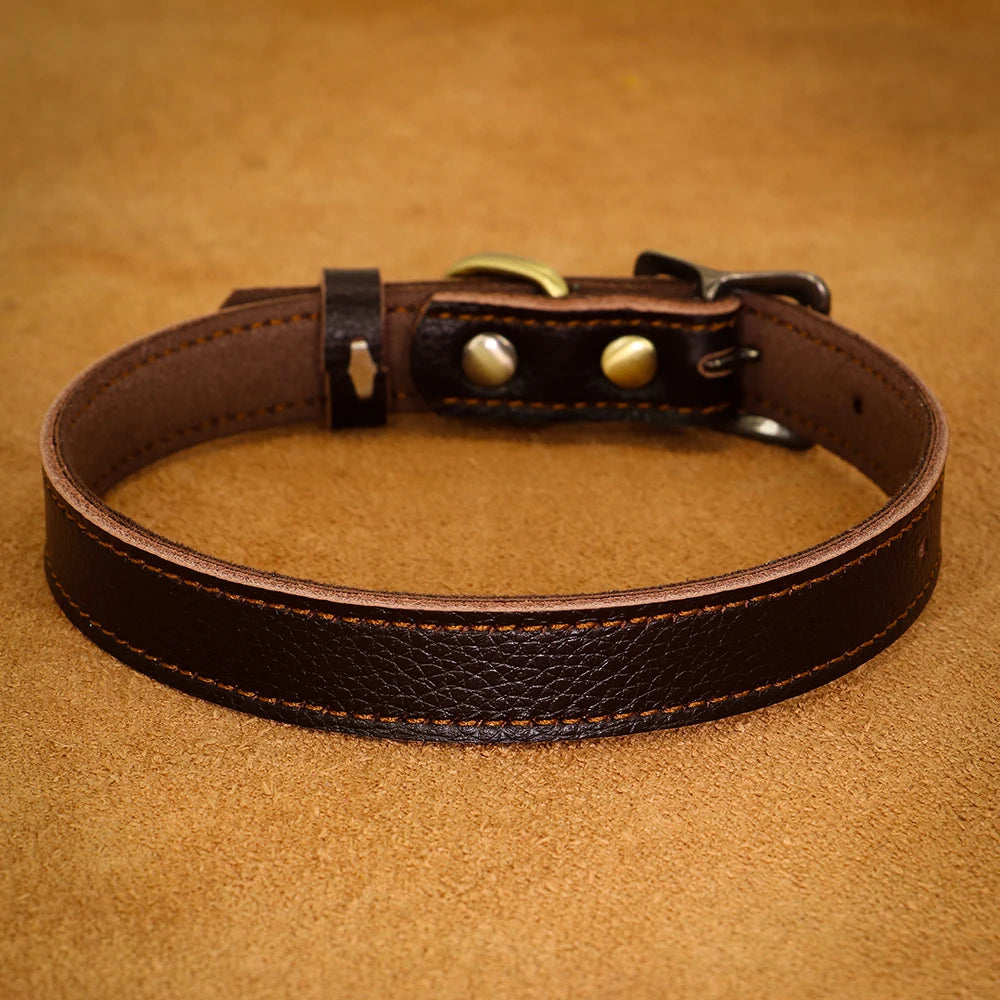 Leather dog collar medium