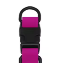 Pink rubber dog collar