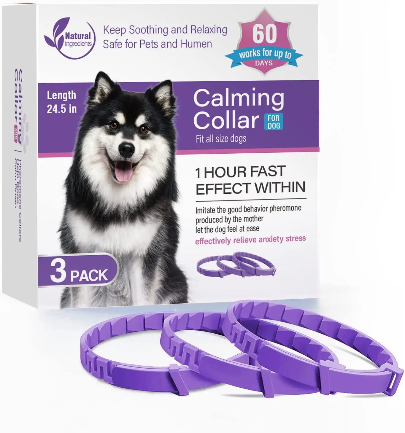 Purple flea collar