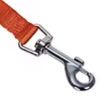 Orange dog collar and lead