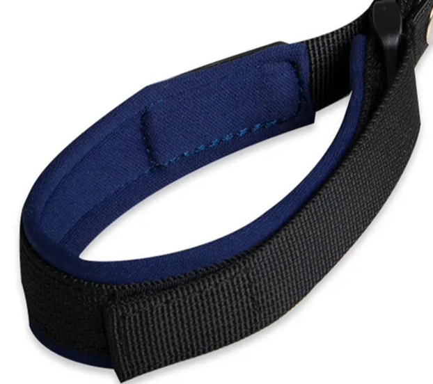 Grab handle dog collar