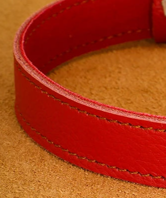 Round leather dog collar