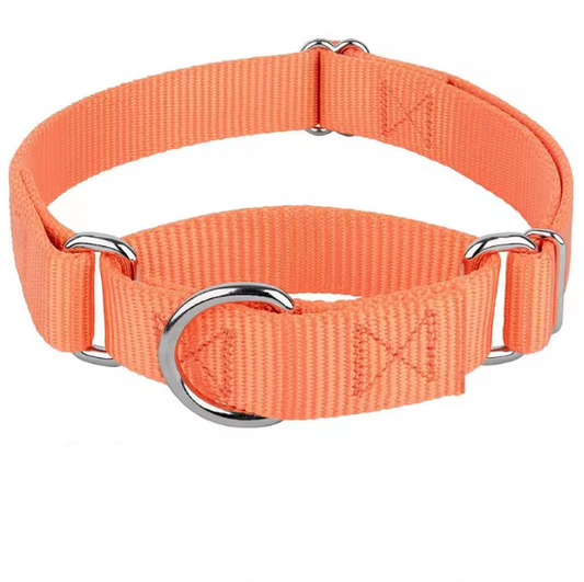 Cute martingale dog collar