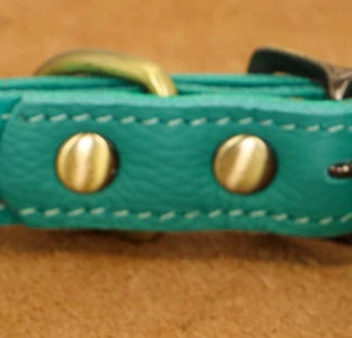 Turquoise leather dog collar