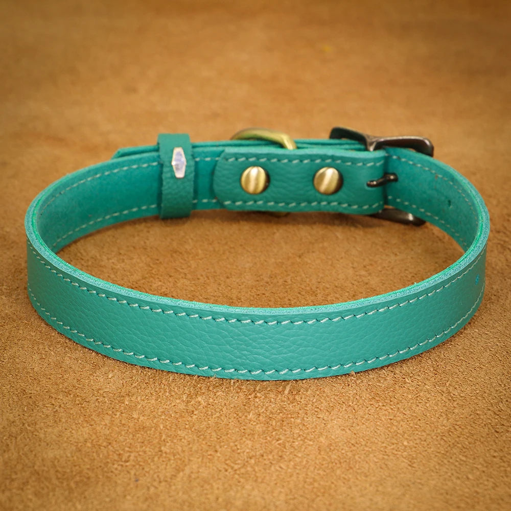 Turquoise leather dog collar