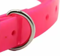 Hot pink puppy collar