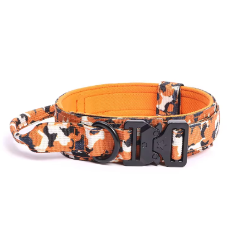 Orange tactical dog collar