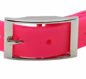 Hot pink puppy collar