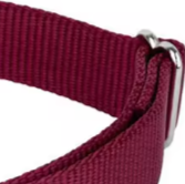 Small dog martingale collar