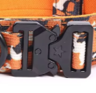 Orange tactical dog collar