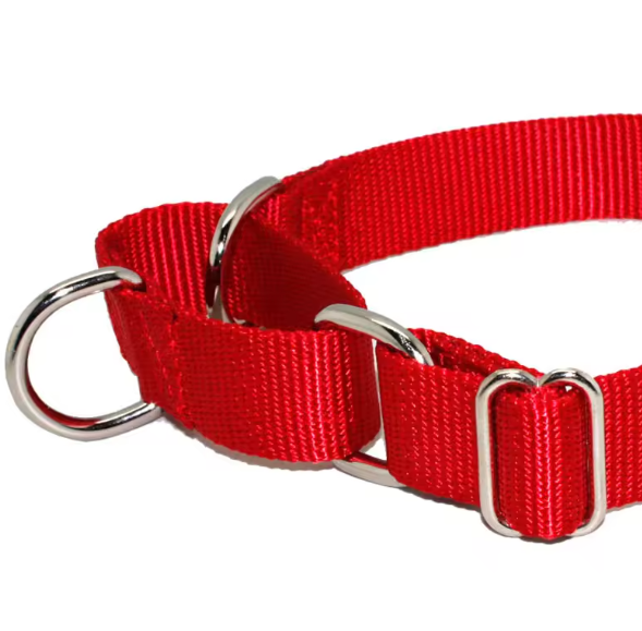 Waterproof martingale dog collar