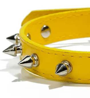 Small studded dog collar