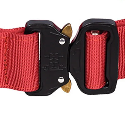 Survival cord dog collar