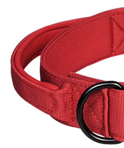 Survival cord dog collar