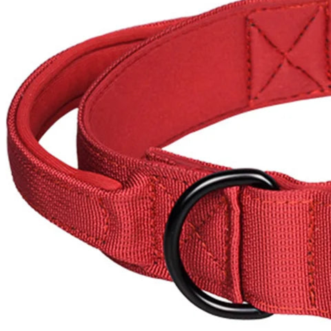 Red and black dog collar