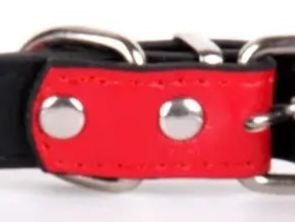 Small leather dog collar