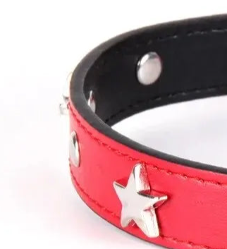 Small leather dog collar