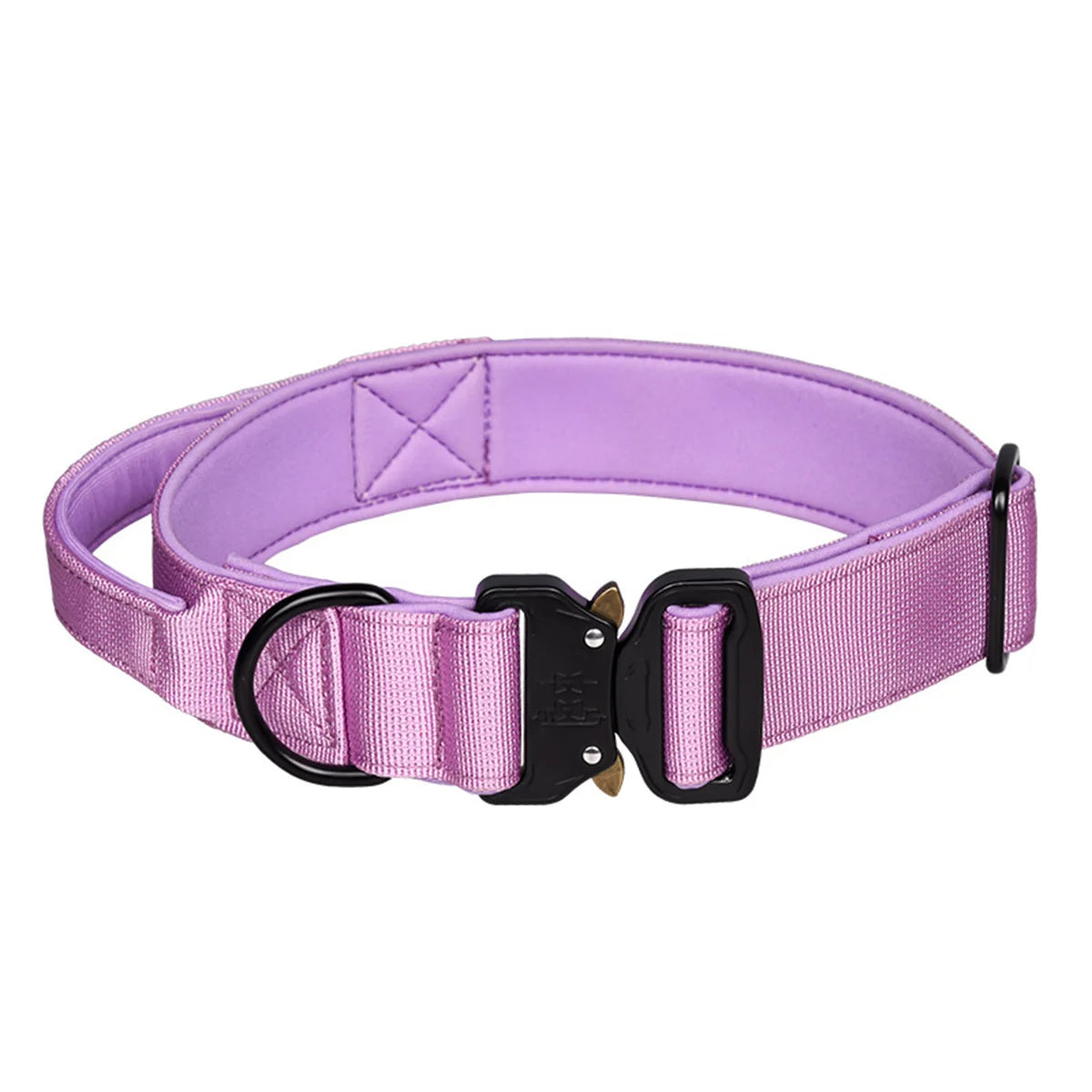 Locking dog collar