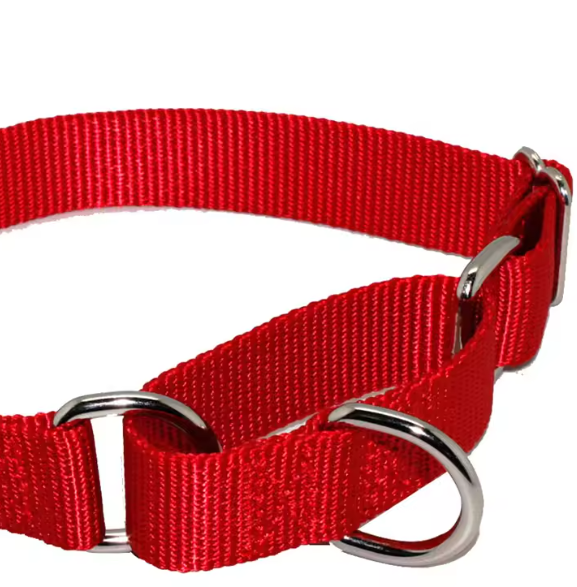 Waterproof martingale dog collar