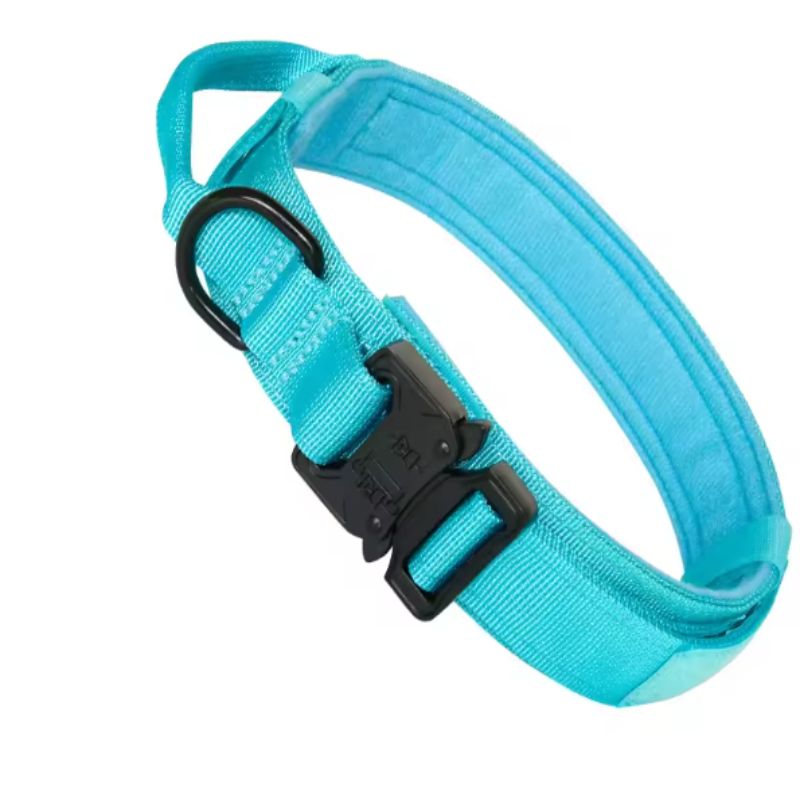 Light blue dog collar