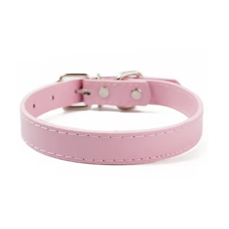 Girl puppy collar