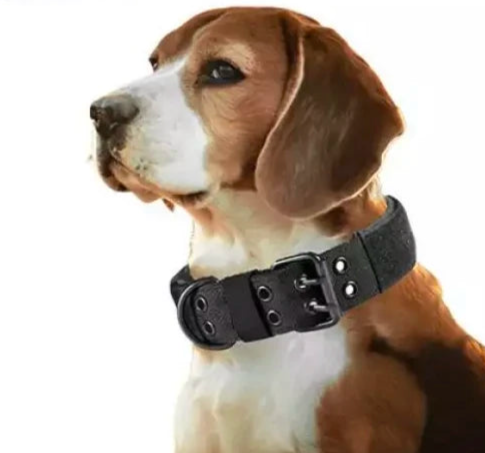 Adjustable dog collar