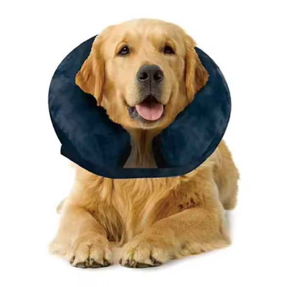 Soft inflatable dog collar