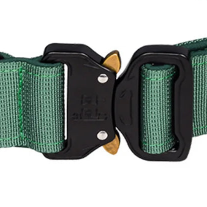 Emerald green dog collar