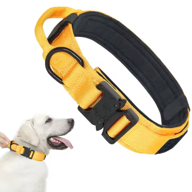 Yellow tactical dog collar