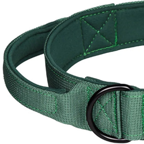 Emerald green dog collar