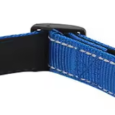 Heavy duty martingale dog collar