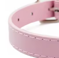 Girl puppy collar