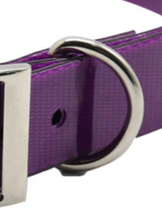 Small purple dog collar