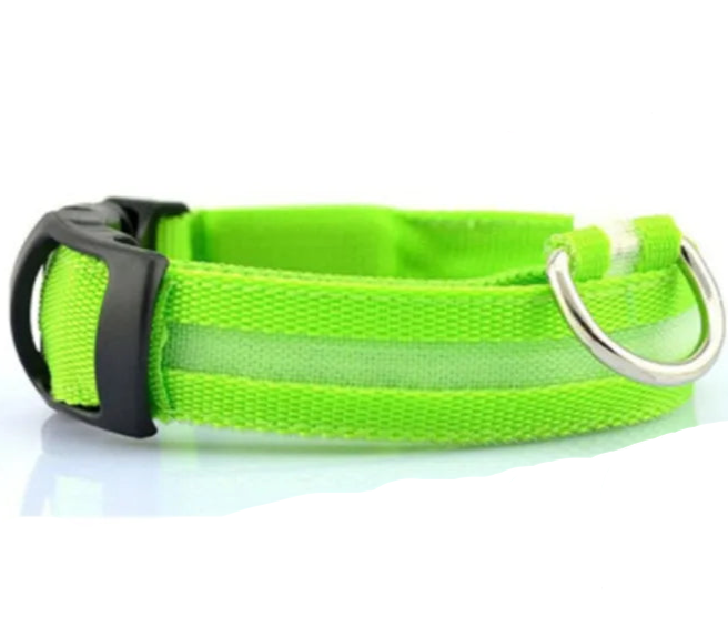 Glow in the dark glow collar small