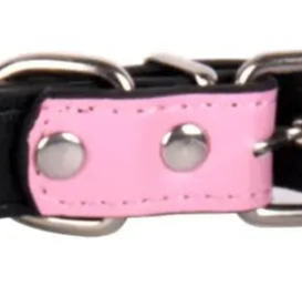 Pale pink leather dog collar