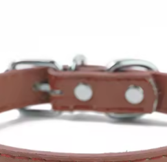 Brown leather puppy collar