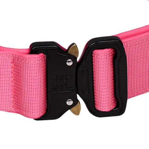 Cute pink dog collar