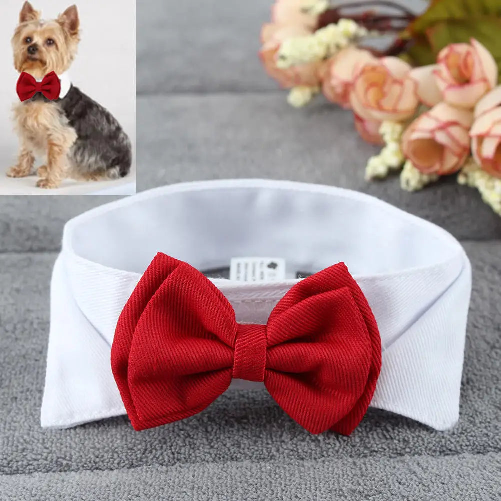 Red bow tie dog collar